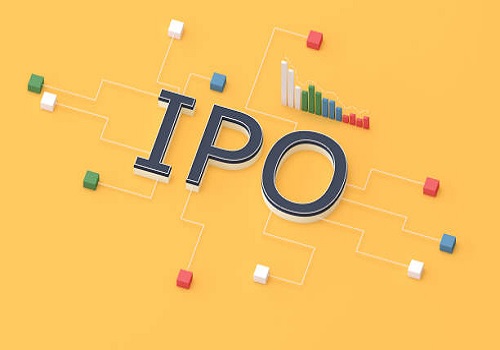 Blue Jet Healthcare Ltd IPO fully subscribed on Day 2 
